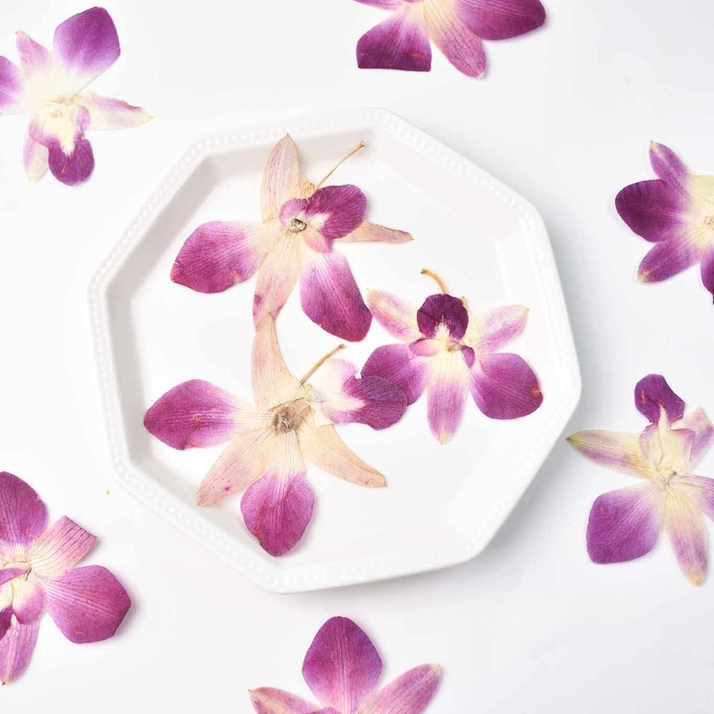 Art And Craft Photos - 4pcs,Real Pressed Butterfly Orchid Flowers DIY