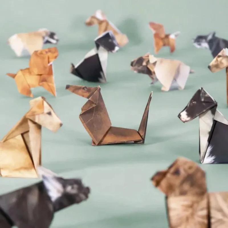 Creative DIY Paper Cats 50 She - Art Craft Dinosaurs recension och pris